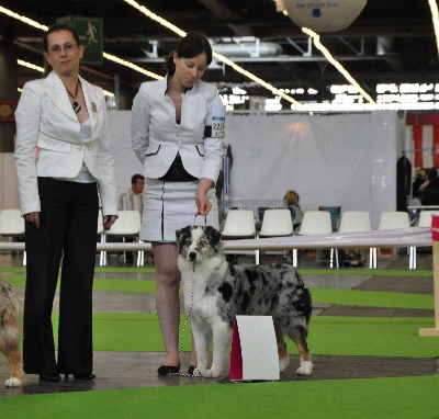 des terres de Laumeneel - Résultat Championnat de France et WDS